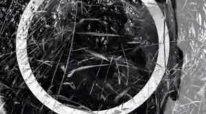 index.php?option=com_content&view=article&id=92&catid=15&Itemid=114