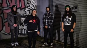 index.php?option=com_content&view=article&id=232&catid=8&Itemid=107