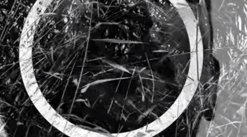 WHEELFALL announce new official video "SEX/OBLIVION/SEX" !